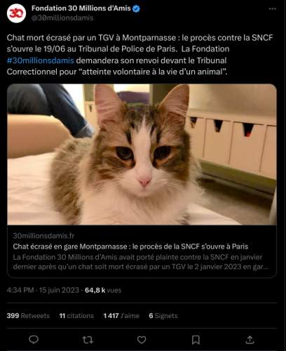 chat, sncf, animaux,